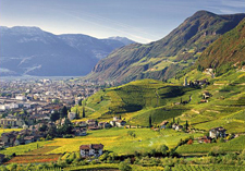 Italy-Northern Italy-Chestnut and Wine Route in Tyrol